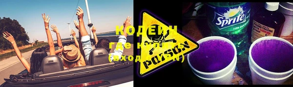 крисы Баксан