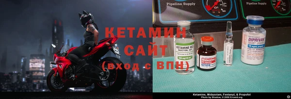 крисы Баксан