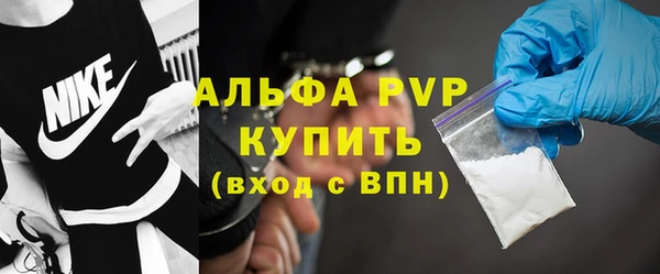 крисы Баксан