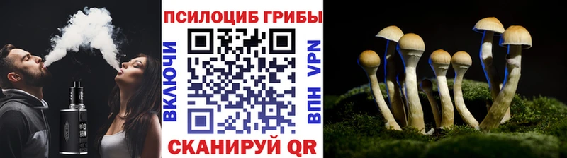 Галлюциногенные грибы Magic Shrooms  Купить где  Феодосия 